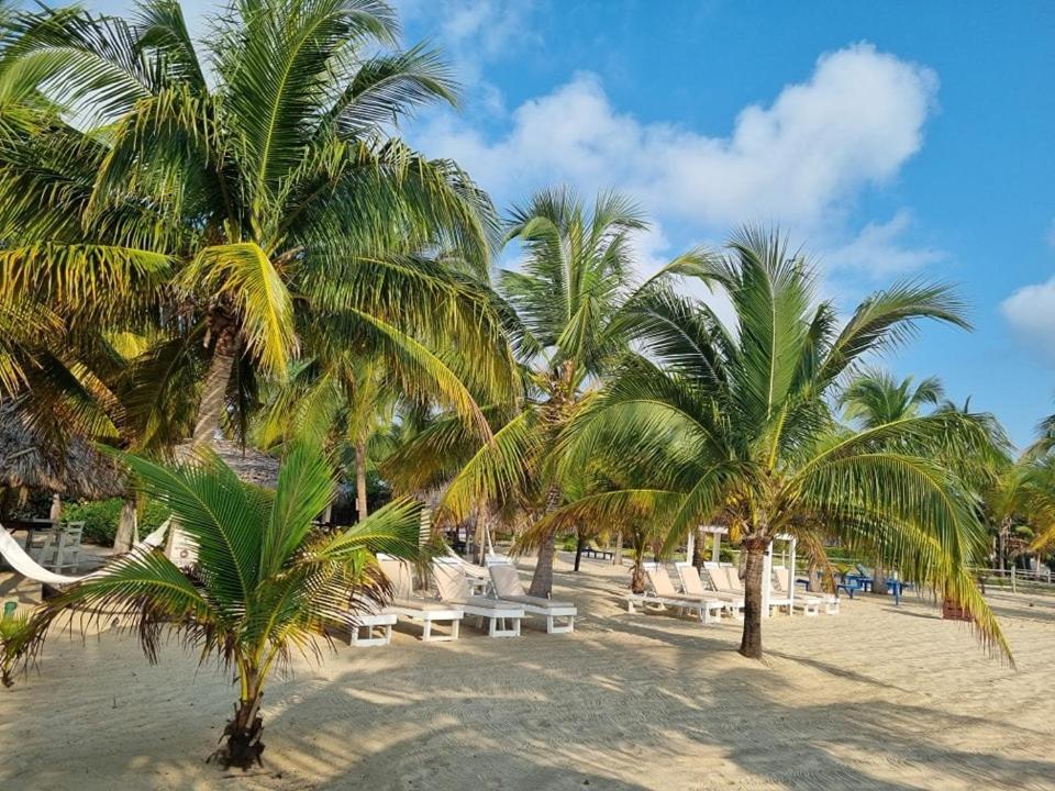 Caribbean Beach Cabanas Placencia Ngoại thất bức ảnh