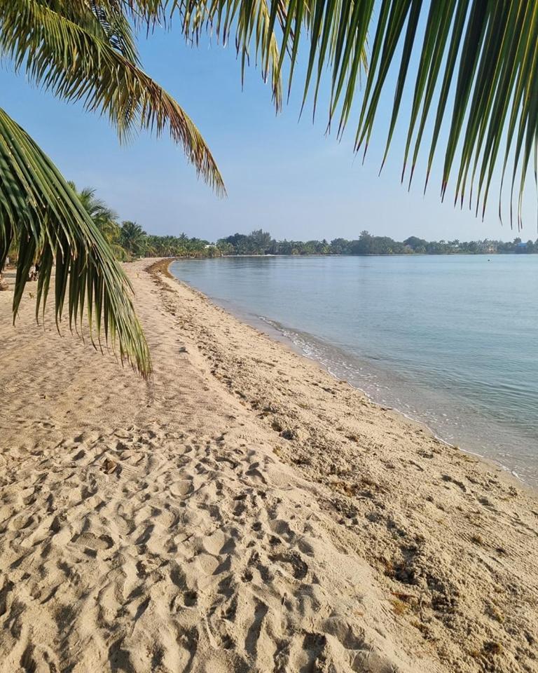 Caribbean Beach Cabanas Placencia Ngoại thất bức ảnh